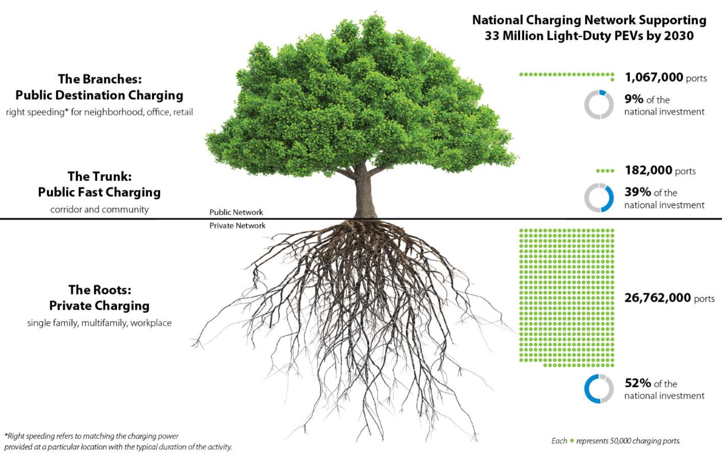 The US national electric vehicle network is visualized as a tree. The trunk, branches and leaves are the public network. The roots are the private network, which is much larger than the public network (26.8 million private compared to 1 million public).