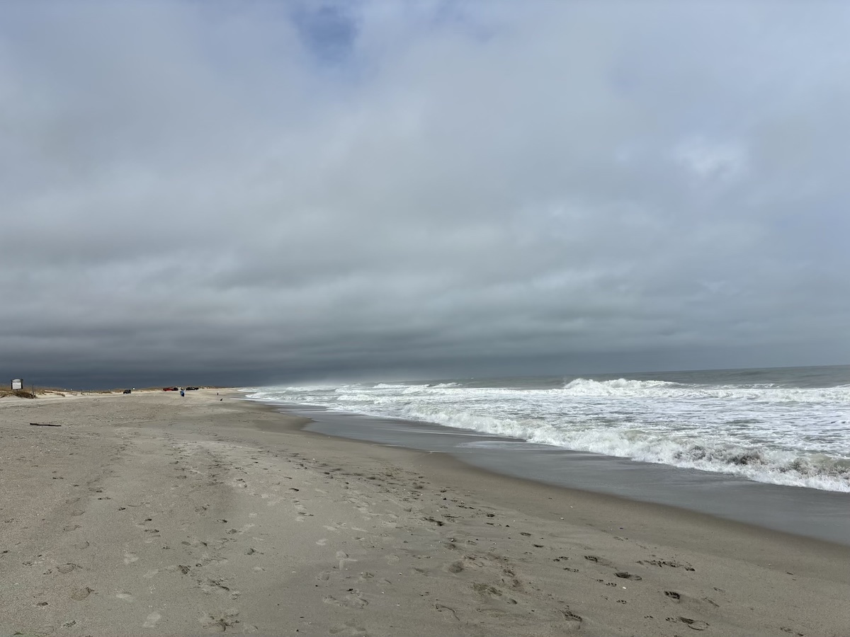 Freeman Park Beach just north of Carolina Beach, North Carolina. March 2024. Photo: Daniel Moul.